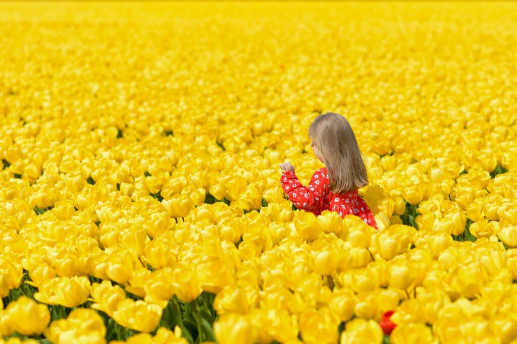 Girl running in a yellow tulip field
